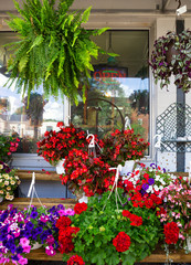 Quaint  Small Town Flower Shop with Vibrant Annuals in Front
