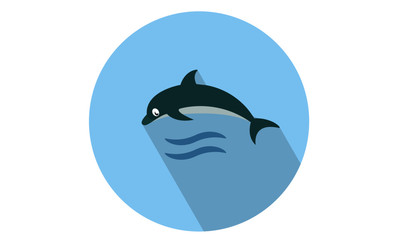 Dolphin Jumping with water waves