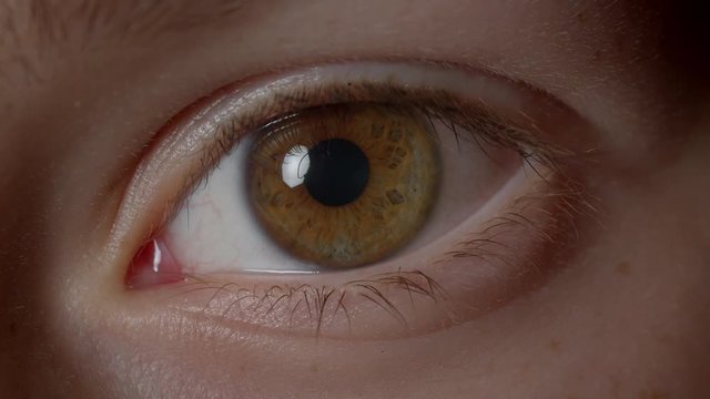 Close-up shoot of caucasian person blinking his brown eyes with reflection of puple lamp watching attentively into camera.