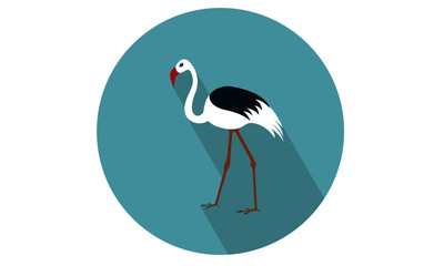 Flamingo / Crane vector illustration