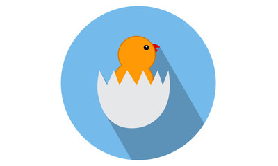 Newly Hatched Chicken vector illustration / Flat icon