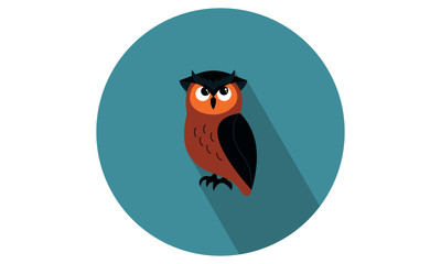 Owl Vector illustration/ flat icon