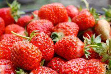 Strawberry. Macro of fresh organic red berries. Fruit background. Close-up.