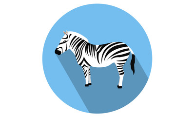 Fototapeta na wymiar Zebra Vector Illustration flat icon
