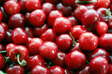 Close up of a pile of ripe cherries with stalks and leaves. A large collection of fresh red cherries. Ripe cherry background. Close-up.