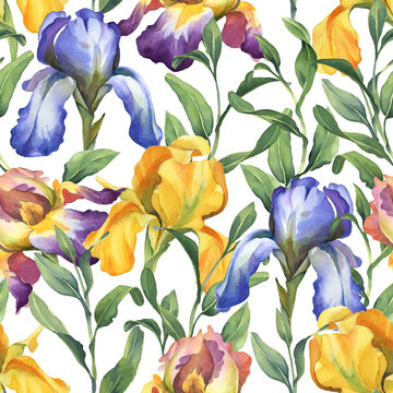 watercolor seamless pattern with purple, yellow and blue iris flower and green leaves