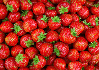 Strawberries background. Strawberry. Red background.