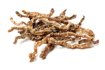 Stachys siebolidii Miq on white background