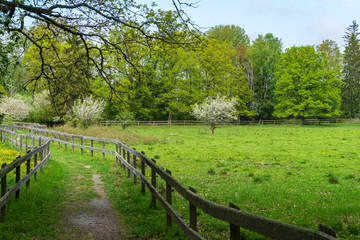 Passage trough green pastures with wooden fence