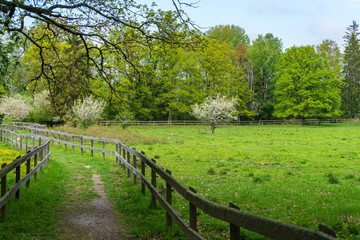 Fototapeta premium Passage trough green pastures with wooden fence
