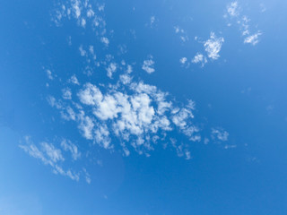 White, summer clouds in the sky.