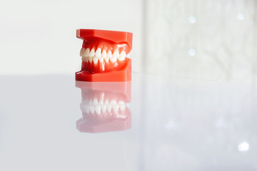 dental clinic red white background copy replica jaw prosthetics teeth