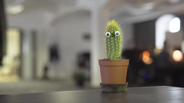Funny cactus plant in the office, conceptual shot healthy work environment