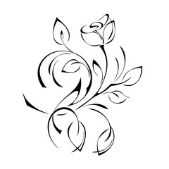 stylized twig with one rose Bud with leaves and curls in black lines on a white background