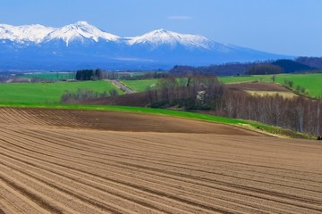 北海道　大地と田畑と青空