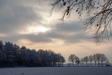 Winter Netherlands snow frost. Sunset. Echten drente Netherlands. Forest. Evening winterlandscape. Sunset. Foggy.