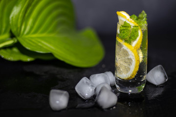 Mahito drink with lemon, ice and mint in a small, clear glass. Behind the green, large leaves of...