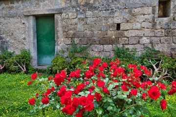 Fototapeta na wymiar old wall with flowers