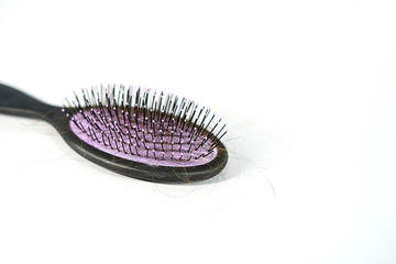 Lost hair with Hair brush comb on isolation white background.