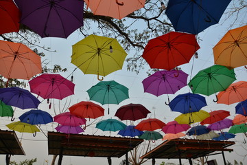 Fototapeta na wymiar The color and magic of the umbrella