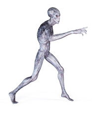 3d rendered illustration of a grey alien
