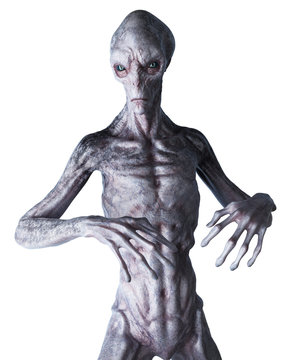 3d rendered illustration of a grey alien