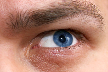 Obraz premium Male blue eye close-up