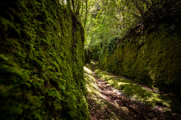 Vie cava etruskischer Hohlweg
