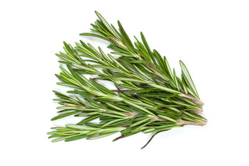 Fototapeta premium Fresh green rosemary twig on white background
