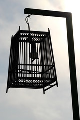 No birds in the cage