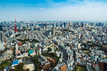 Fototapeta na wymiar view of Tokyo city, Japan