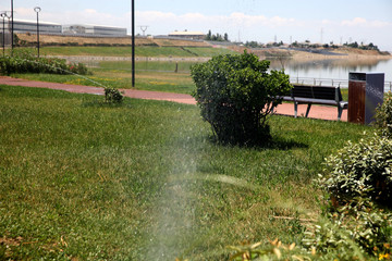 Lawn water sprinkler spraying water over green fresh grass on hot summer day. Automatic watering equipment, lawn maintenance, gardening and lovely summertime concept.
