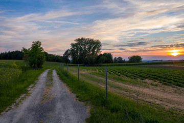 country road in the countryside