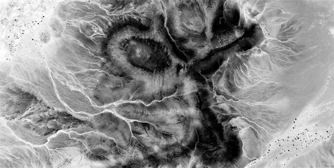 the beast,  abstract naturalism, Black and white photo, abstract photography of landscapes of the...