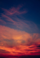 Fototapeta premium a beautiful sky at sunset