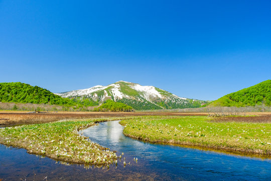 尾瀬湿原 のストック写真 ロイヤリティフリーの画像 ベクター イラスト Adobe Stock 尾瀬湿原 のストック写真 ロイヤリティフリーの画像 ベクター イラスト Adobe Stock
