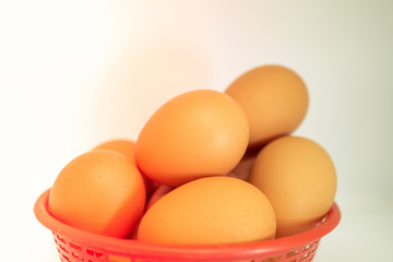 eggs isolated on white background on red basket with light effect
