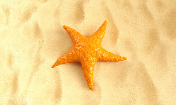 orange Caribbean Starfish on a sand background. 3d Rendering