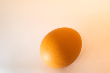 egg on white background with light effect