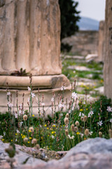 Temples ruins of Ancient Greece civilization