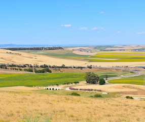 Rural Landscape with field and blue sky