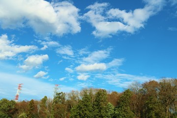 風景　田舎　春　空　杤木