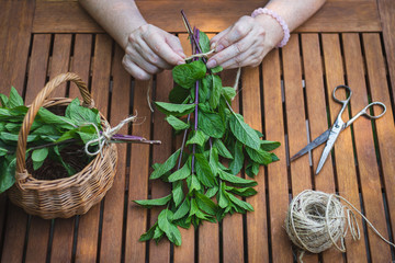 Woman binding bunch of mint herb on wooden table