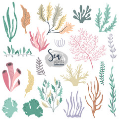 Vector collection of colorful underwater ocean coral reef plants