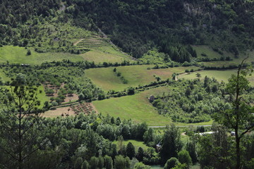 Fototapeta na wymiar bocage de la vallée du Tarn