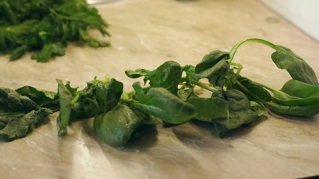 Close-up of the girl puts a beautiful wet spinach on the table at home, slow motion. Vegetarianism. Diet.