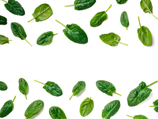 Pattern from baby spinach leaves with copy space in center. Fresh green baby spinach isolated on white with clipping path. Top view or flat lay. Can use for design vegan and keto diet
