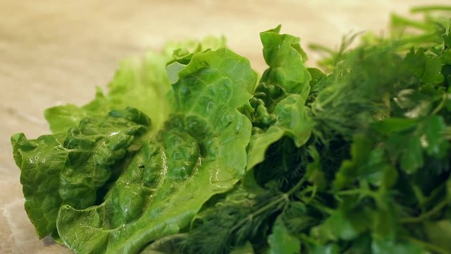 Close-up girl puts on the table wet lettuce. Vegetarianism. Beautiful wet lettuce with water drops. Slow motion. Green vegetables.