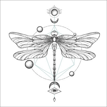 Hand drawn engraving Sketch of Dragonfly. Vector illustration for tattoo and handmade decorative brooch. Can be used for for postcard, t-shirt, fabric bag or poster. Insect collection.