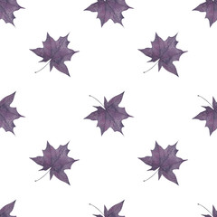  Watercolor seamless pattern with Monochrome Maple leaves on a white background